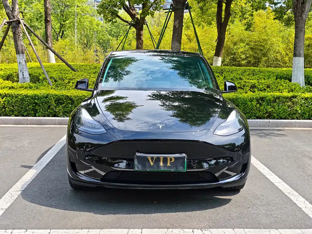 Tesla Model Y 2023 — фото 1