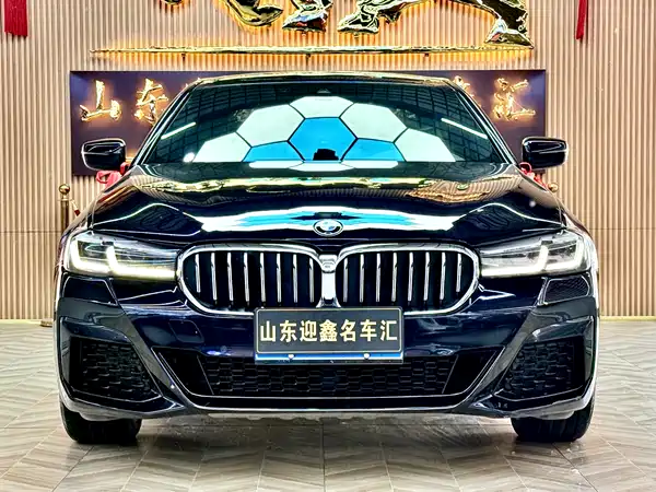 BMW 5 Series 2021