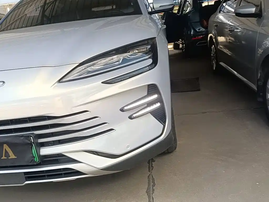 BYD Song PLUS New Energy 2024 — фото 24