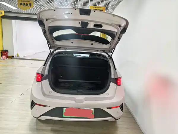 BYD Dolphin 2025