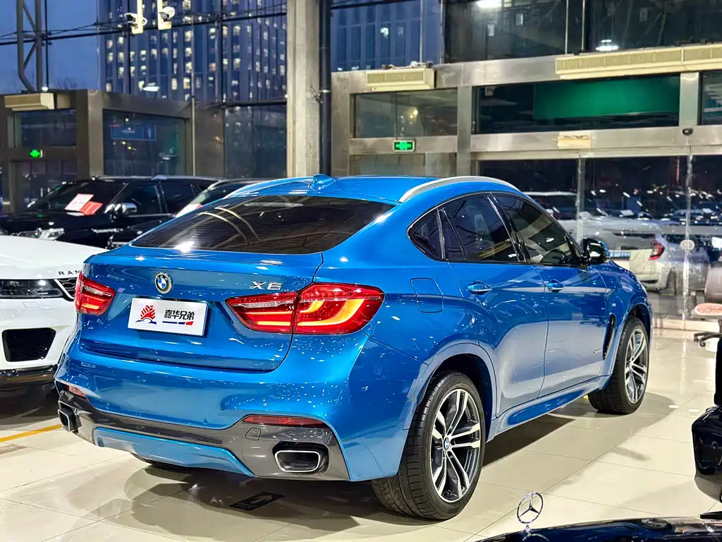 BMW X6 2018 — фото 10