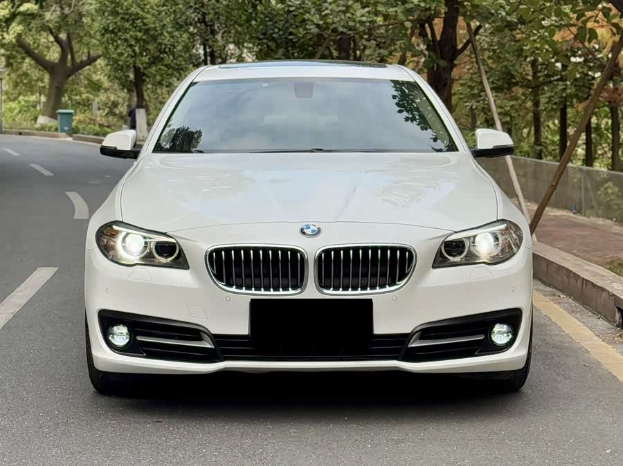 BMW 5 Series 2014