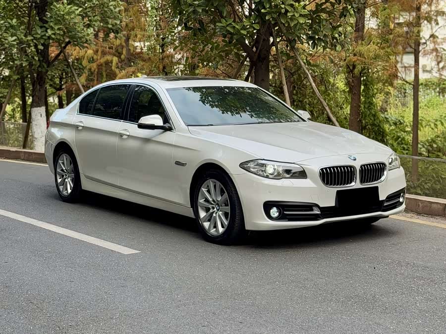 BMW 5 Series 2014