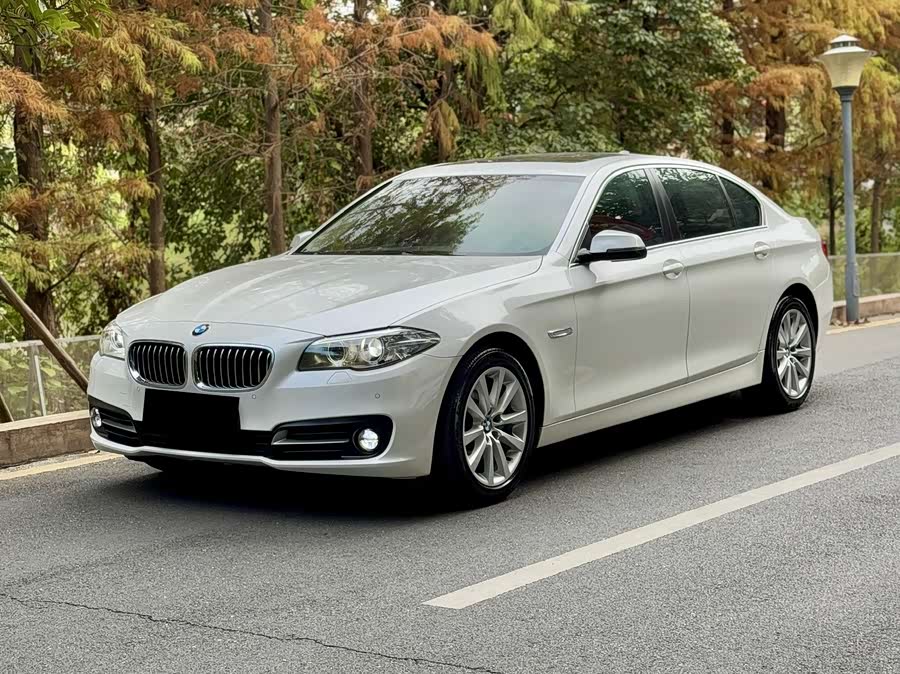 BMW 5 Series 2014