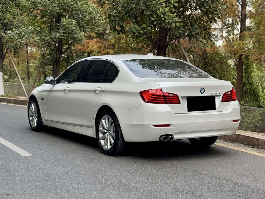 BMW 5 Series 2014