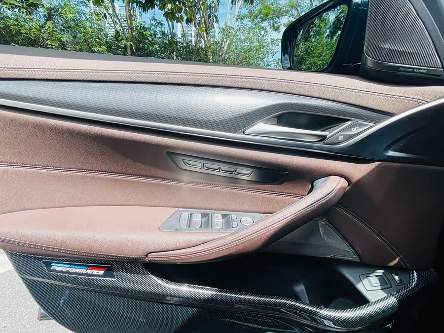 BMW 5 Series New Energy 2021