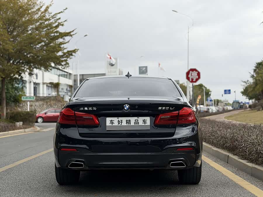 BMW 5 Series 2018 — фото 13