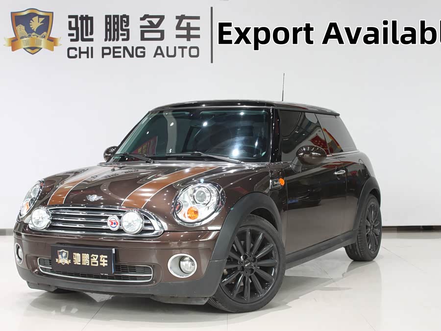 MINI MINI 2010