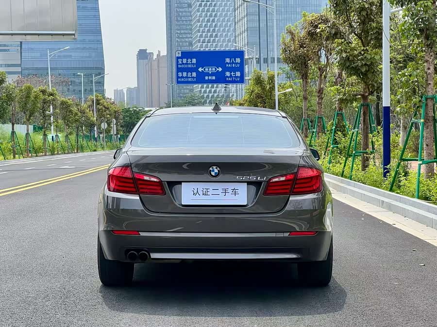 BMW 5 Series 2013