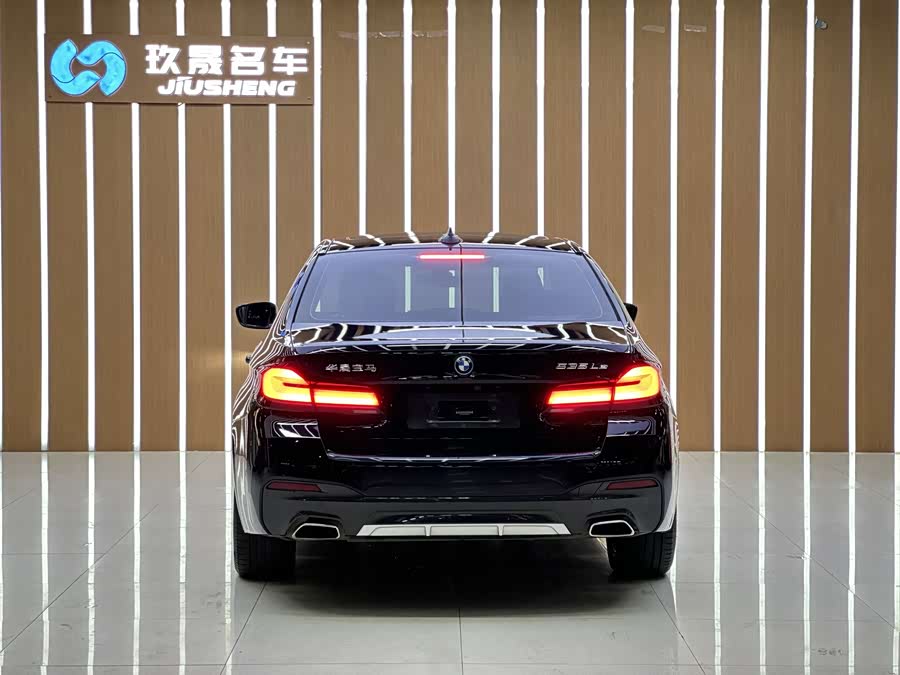 BMW 5 Series New Energy 2021