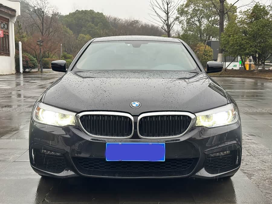 BMW 5 Series 2019