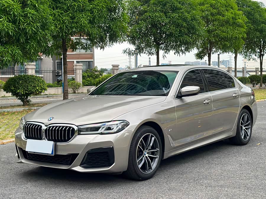 BMW 5 Series 2021