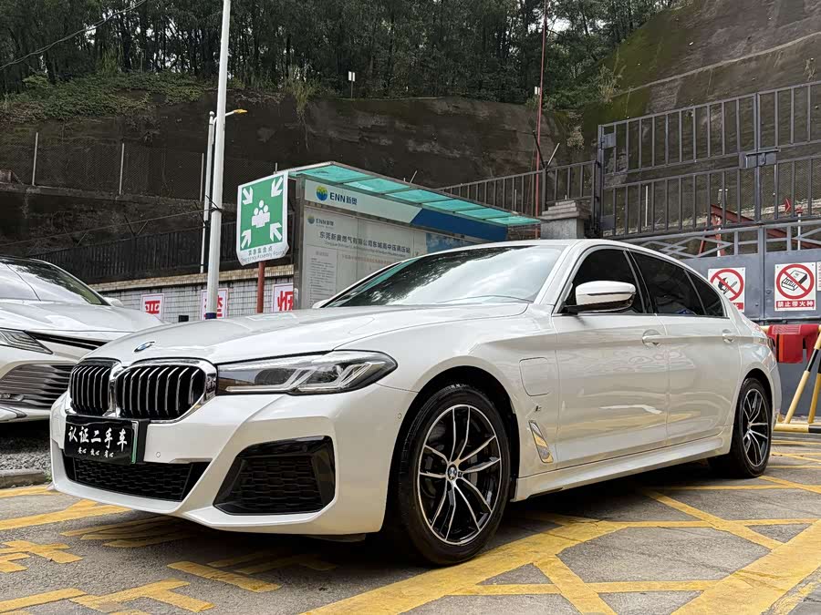 BMW 5 Series New Energy 2022