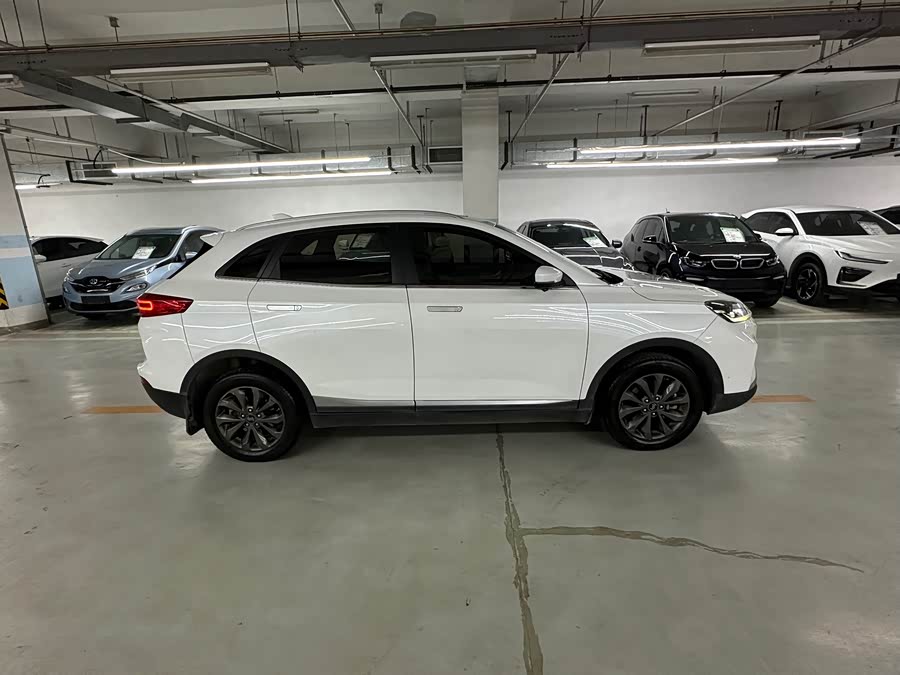 WM Motor EX5 2018