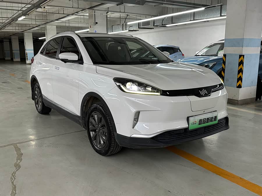 WM Motor EX5 2018