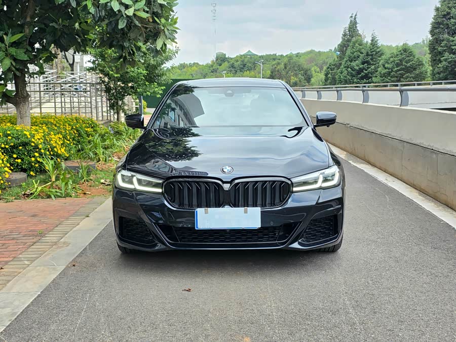 BMW 5 Series 2021