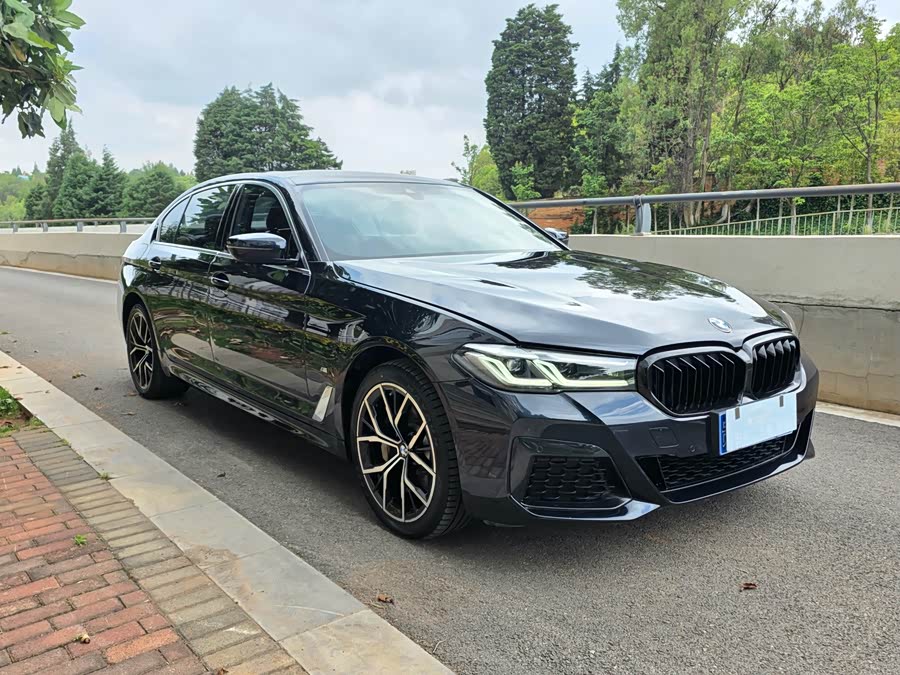 BMW 5 Series 2021