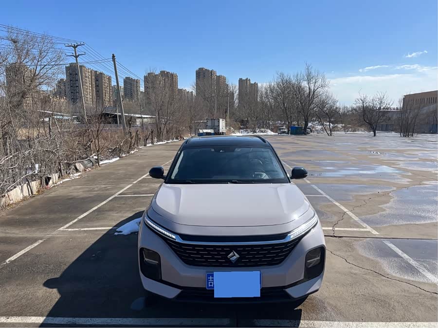 Baojun Valli 2021