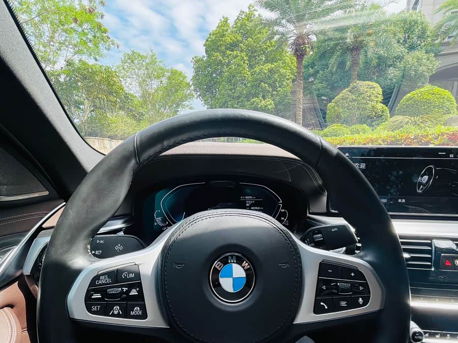 BMW 5 Series New Energy 2021
