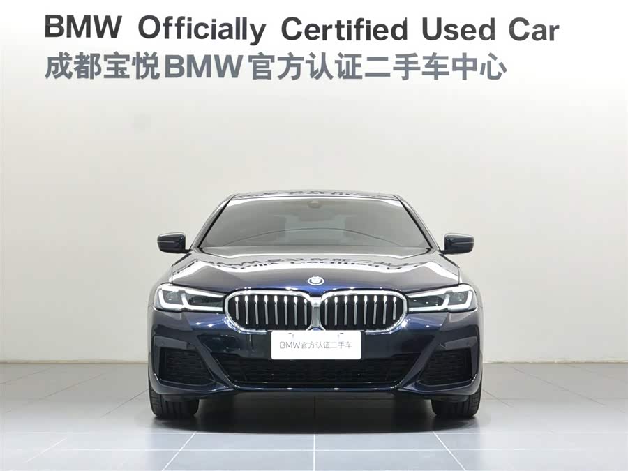 BMW 5 Series New Energy 2022