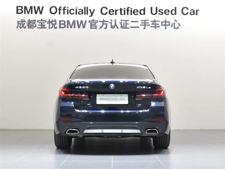 BMW 5 Series New Energy 2022