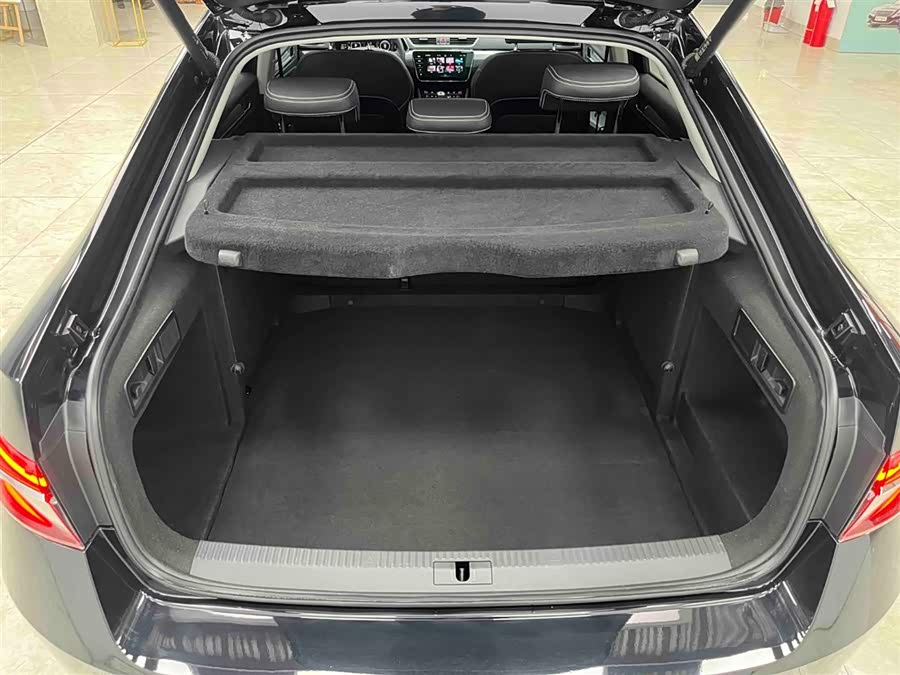 Skoda Speedy 2024 — фото 16