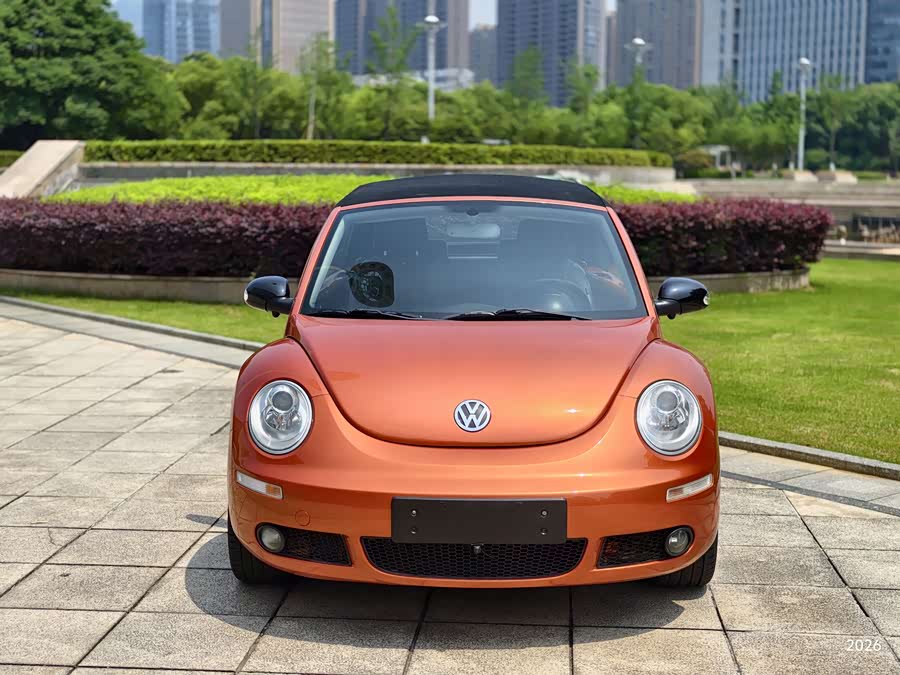 Volkswagen Beetle 2010