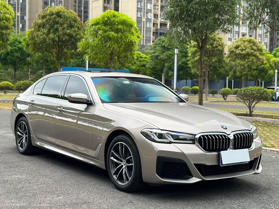 BMW 5 Series 2021