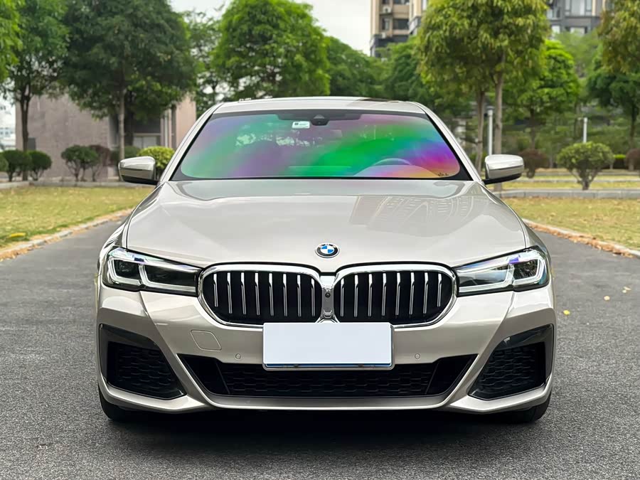 BMW 5 Series 2021