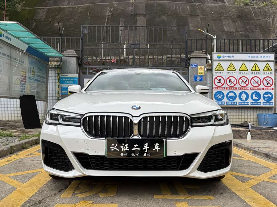 BMW 5 Series New Energy 2022