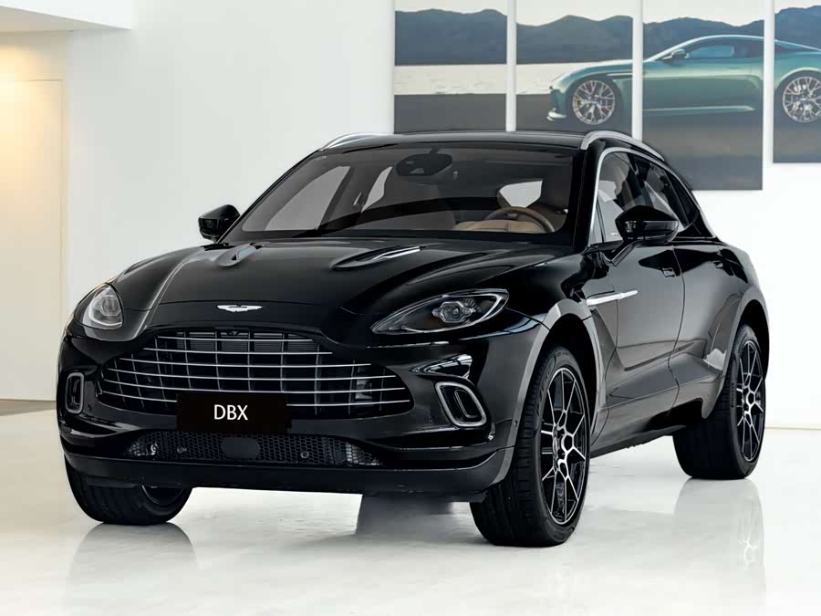 Aston Martin DBX 2024 — фото 9