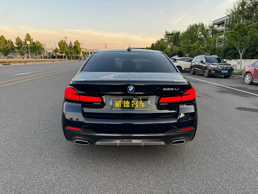 BMW 5 Series 2021