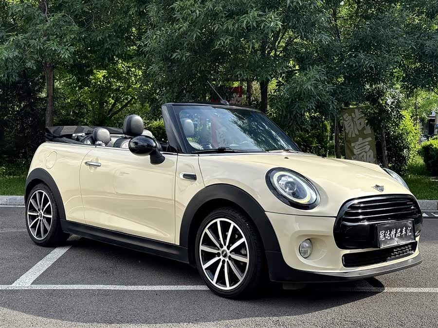 MINI MINI 2019