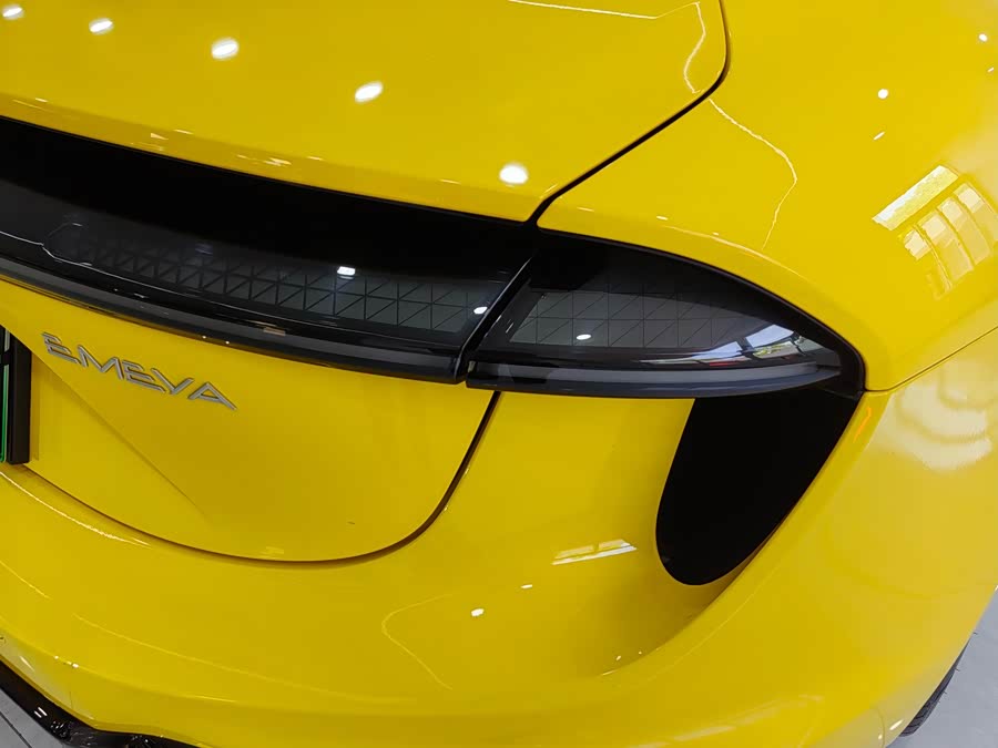 Lotus EMEYA 2024
