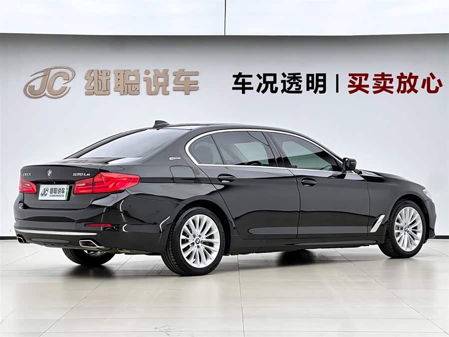 BMW 5 Series New Energy 2019