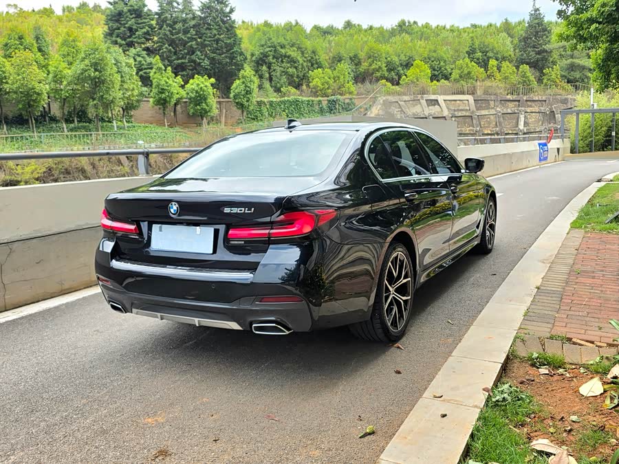BMW 5 Series 2021