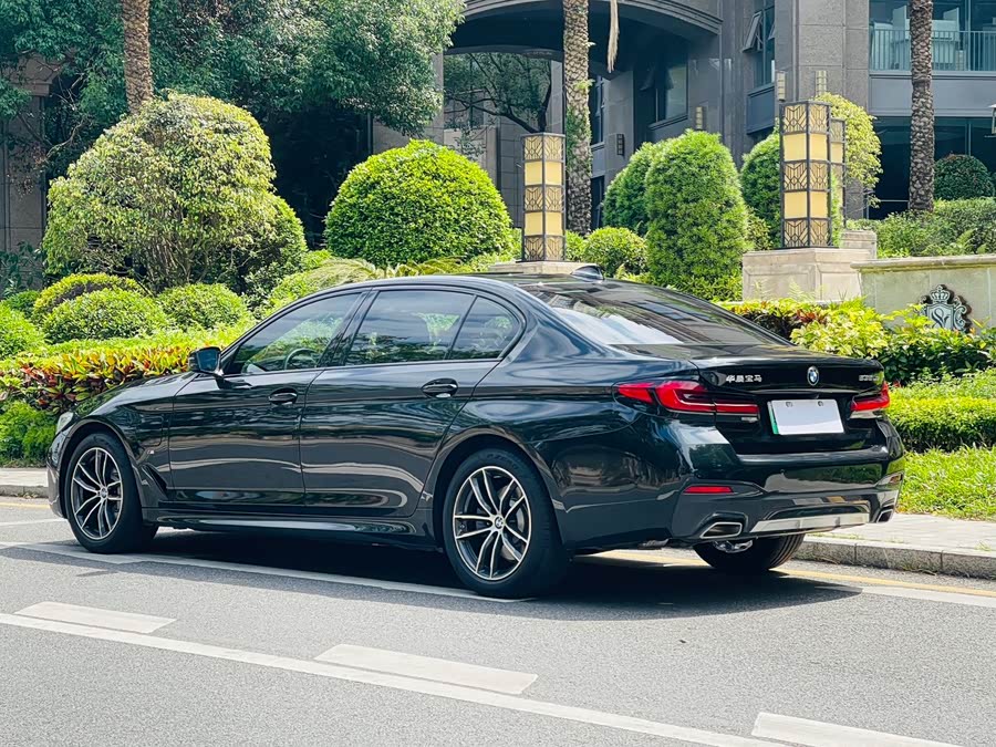 BMW 5 Series New Energy 2021