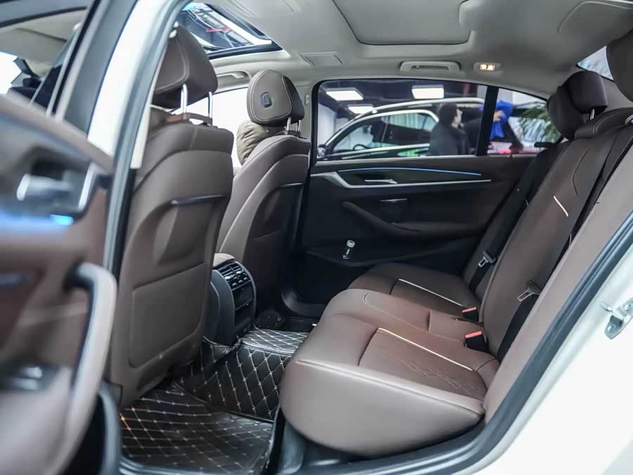 BMW 5 Series New Energy 2022