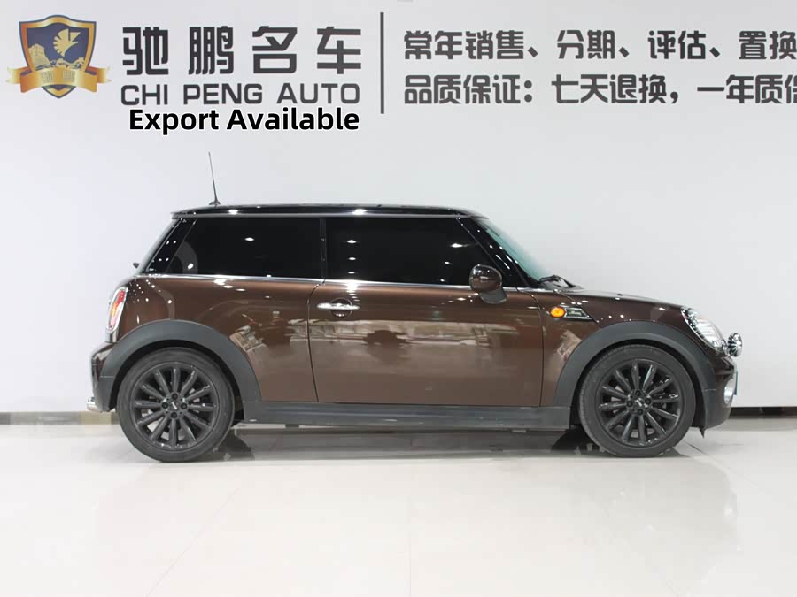 MINI MINI 2010