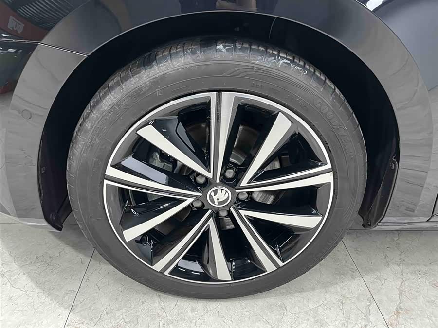 Skoda Speedy 2024 — фото 20