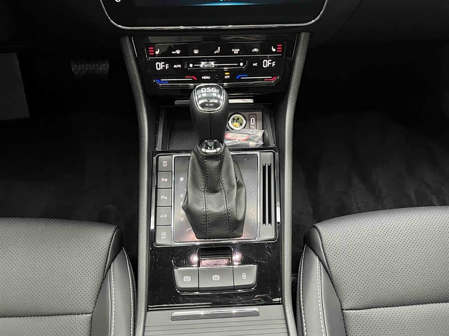 Skoda Speedy 2024