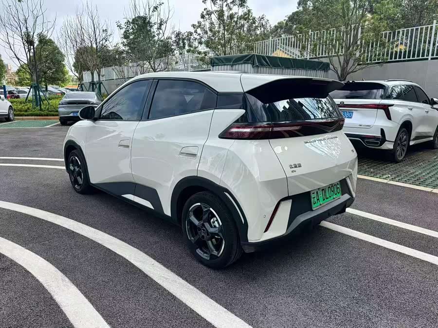 BYD Seagull 2024