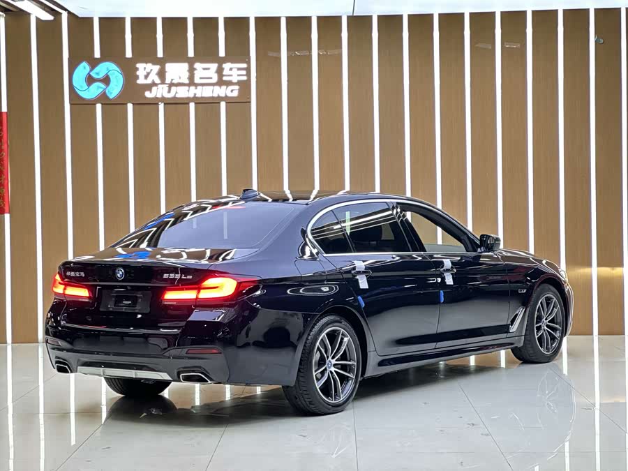 BMW 5 Series New Energy 2021