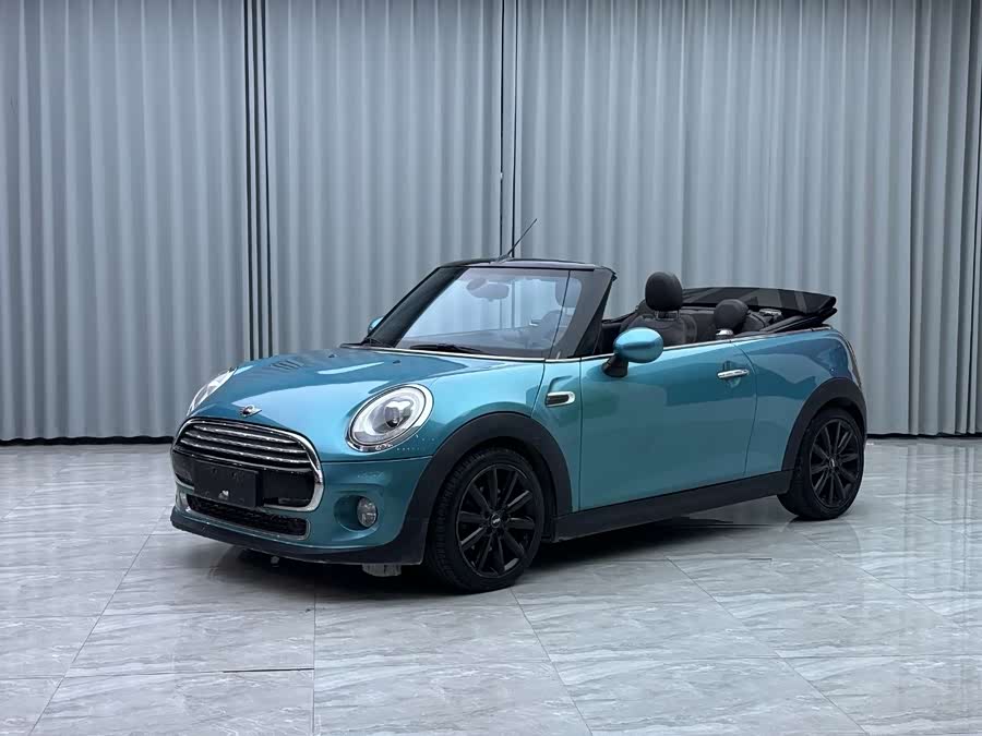 MINI MINI 2017