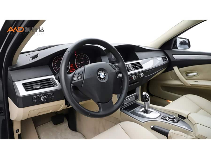 BMW 5 Series 2009