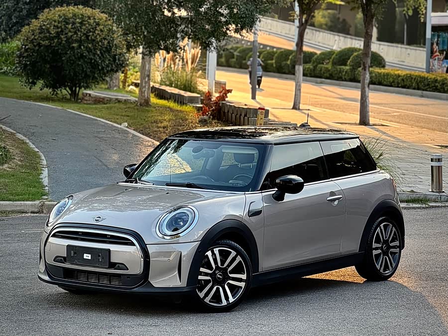 MINI MINI 2022