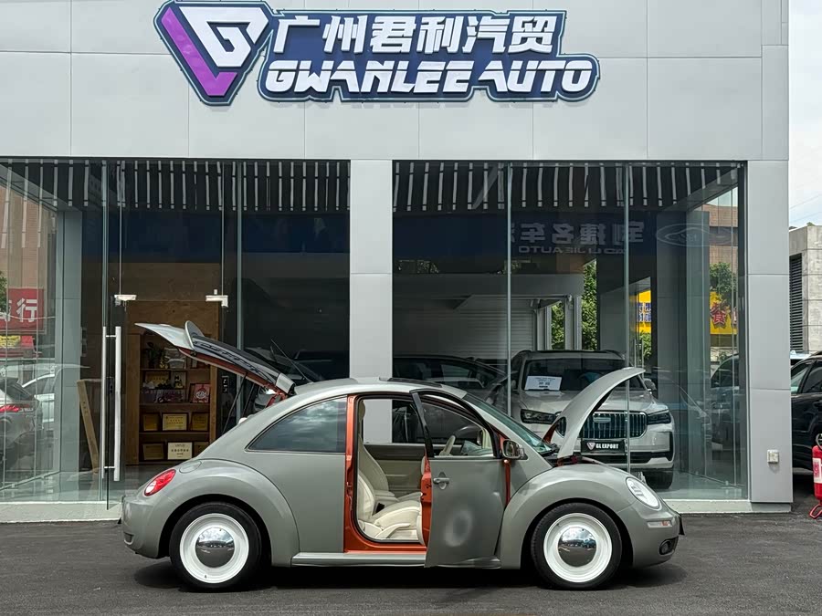 Volkswagen Beetle 2010