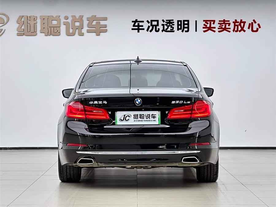 BMW 5 Series New Energy 2019