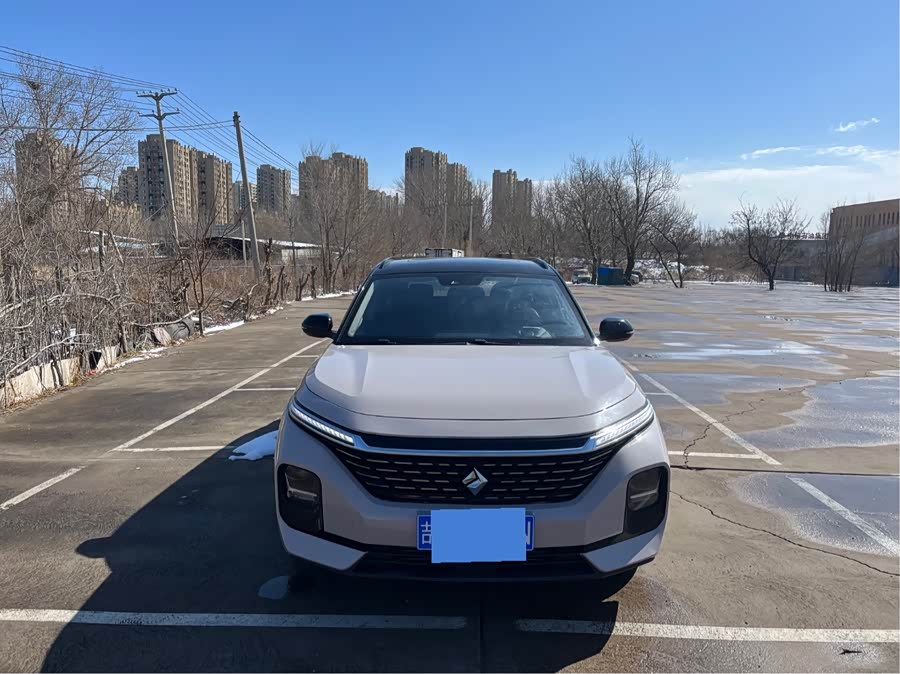 Baojun Valli 2021