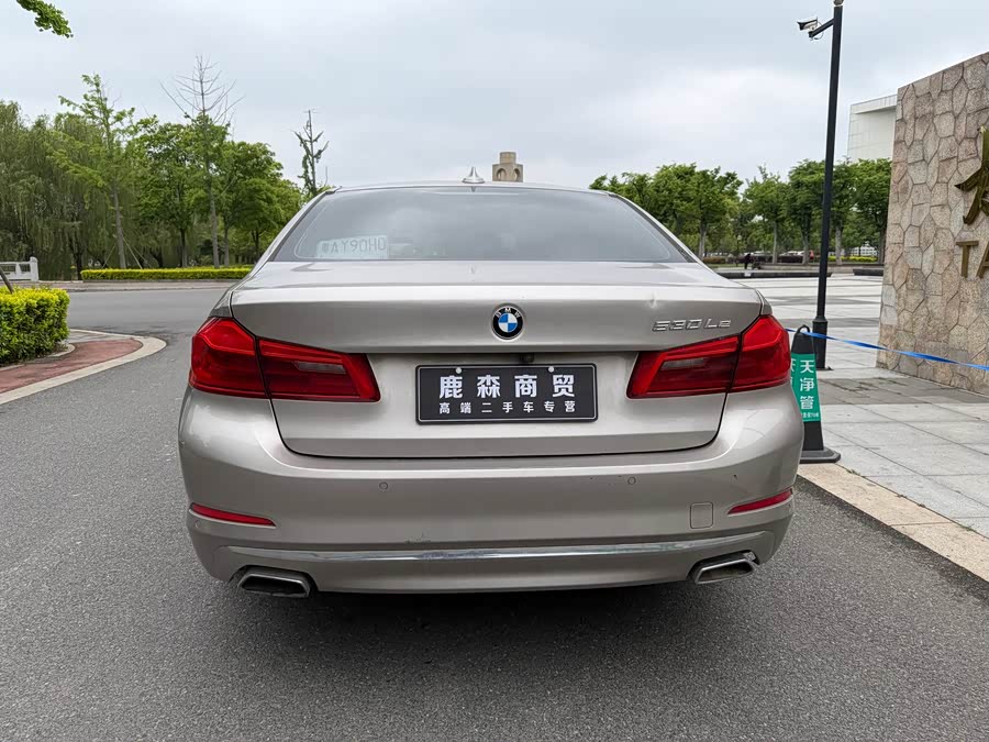 BMW 5 Series New Energy 2019